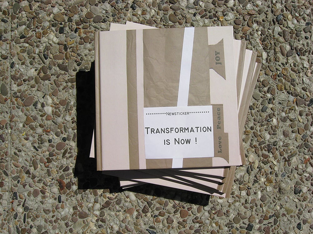 Buch Transformation ist Jetzt